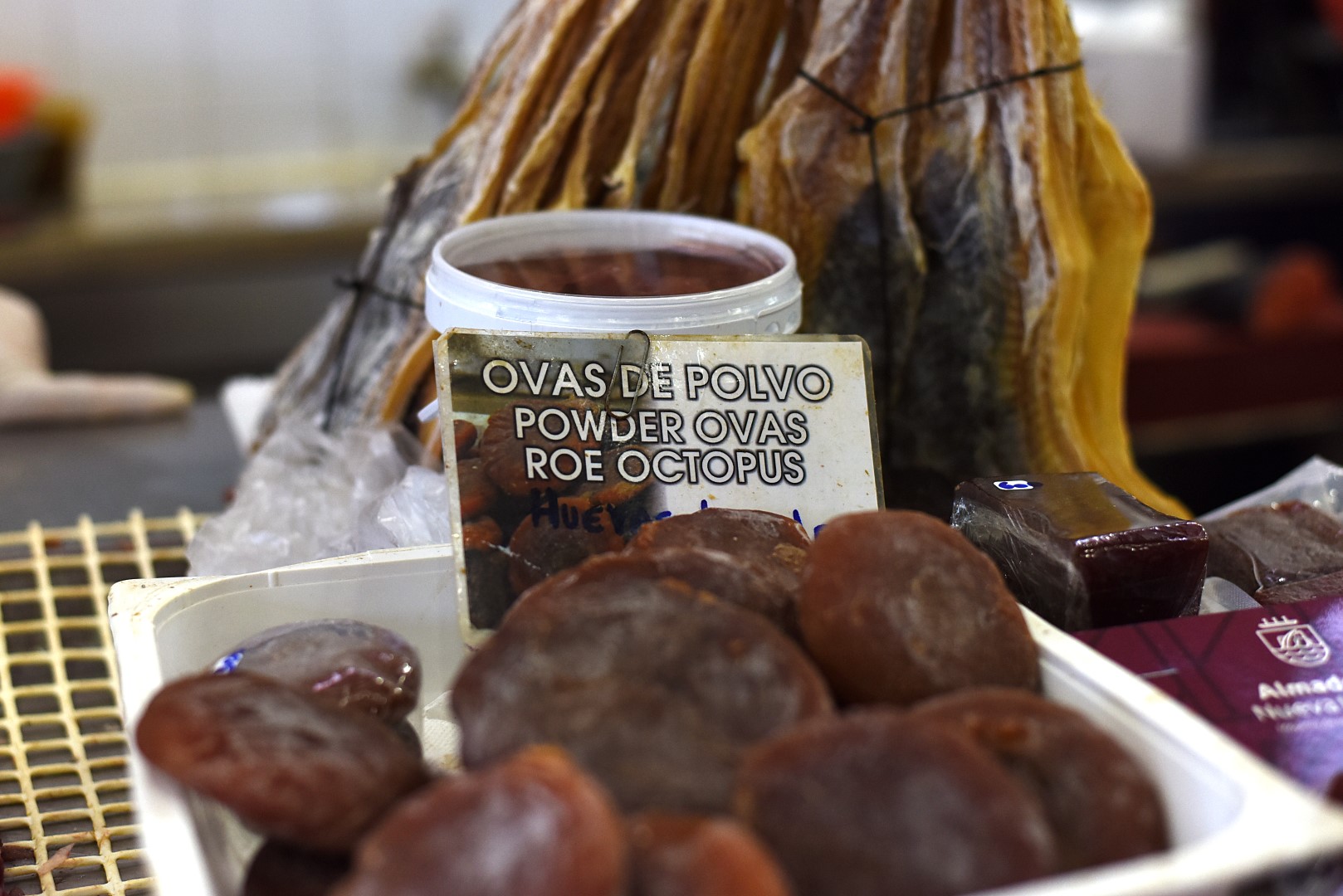 ovas de polvo